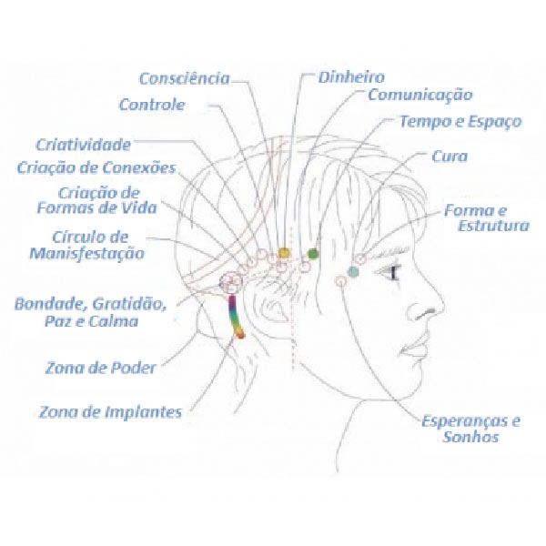 Maria-ines-curcio-site-atendimento_barra-access